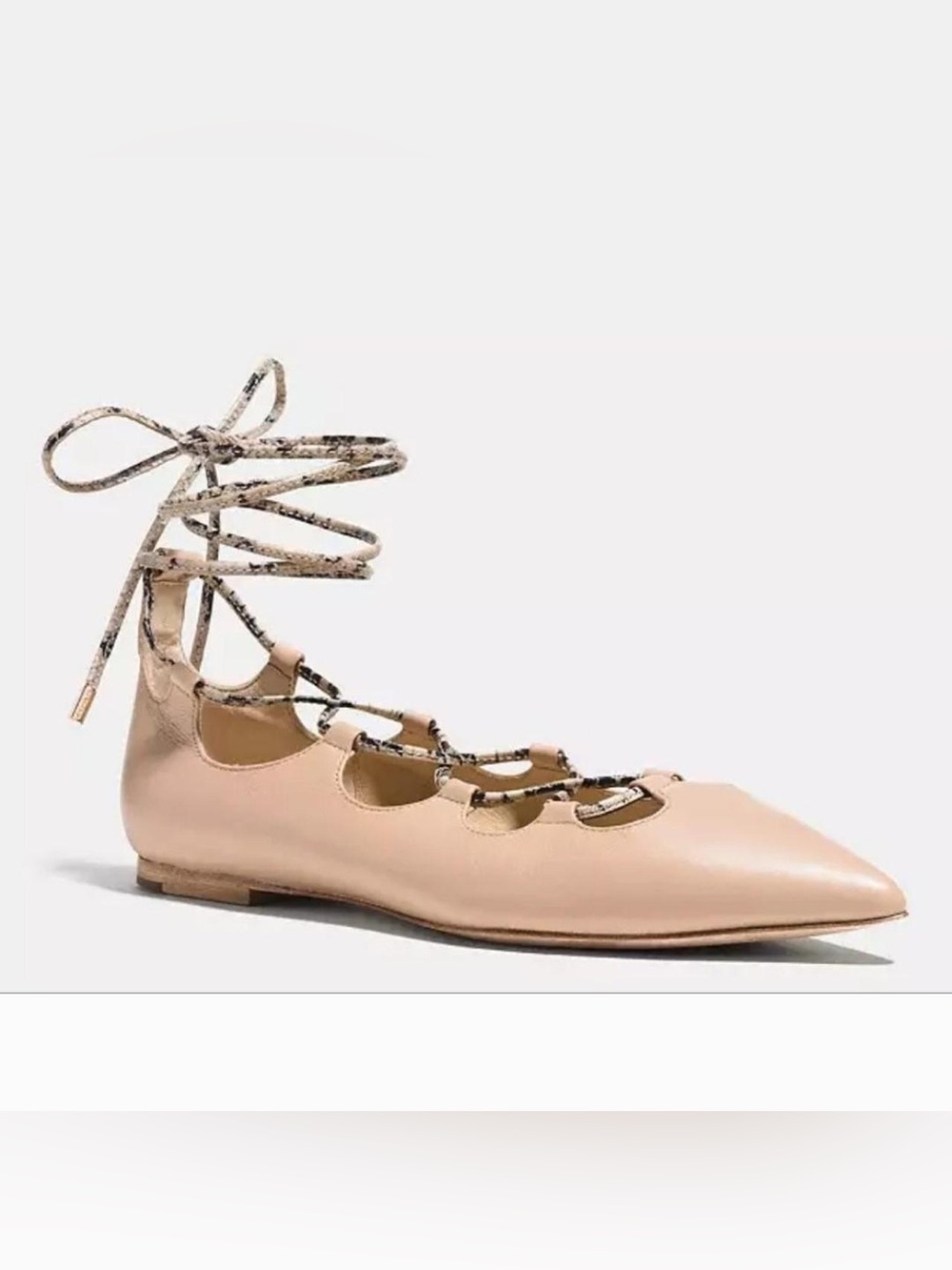 Coach Pointed Lace-Up Flats with Snake Patterned Laces